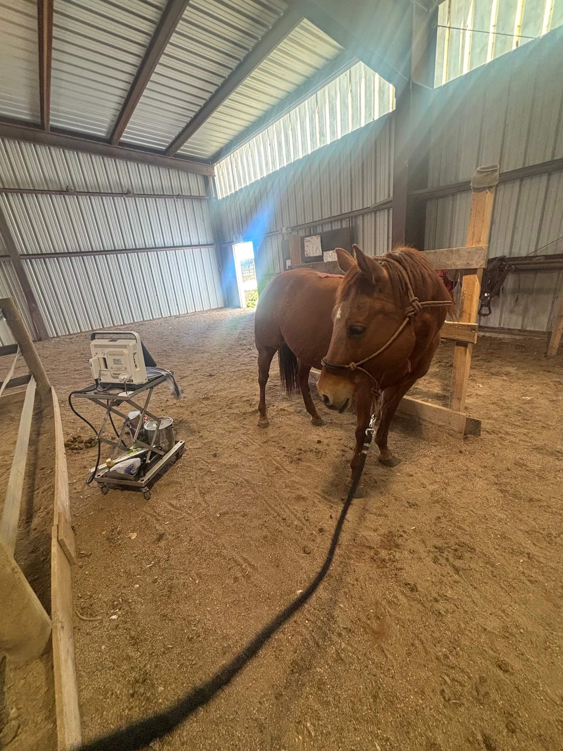 Equine Breeding Services Western States 1