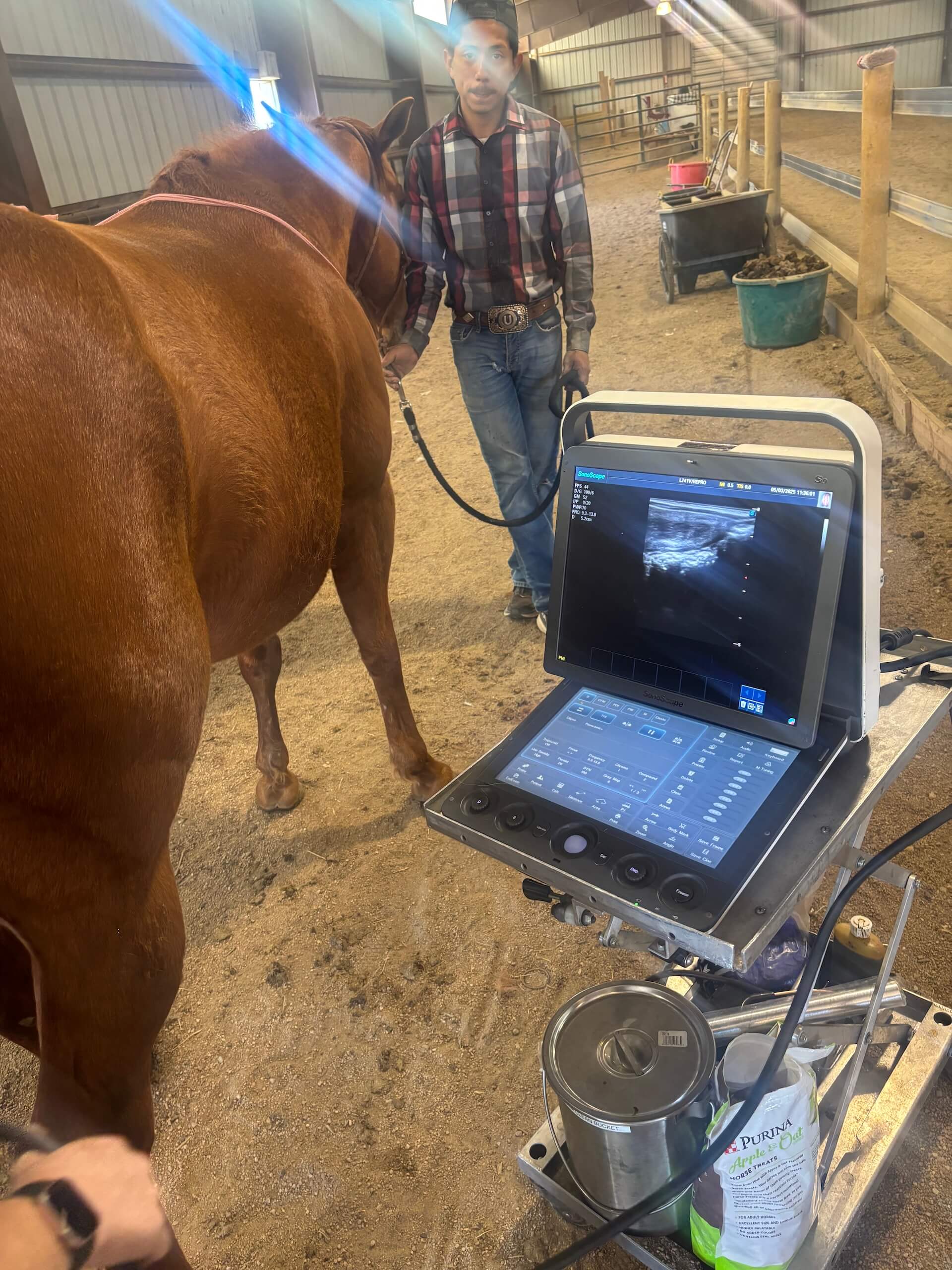 Equine Breeding Services Western States 2
