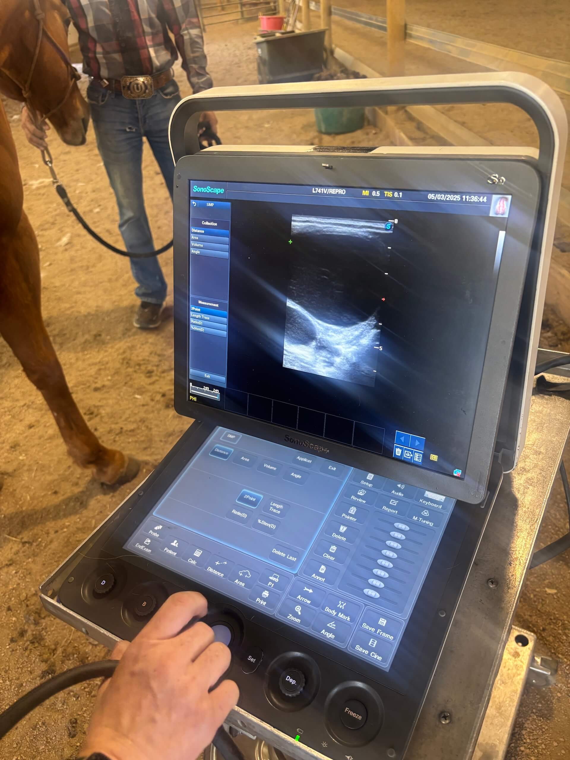 Equine Breeding Services Western States 3