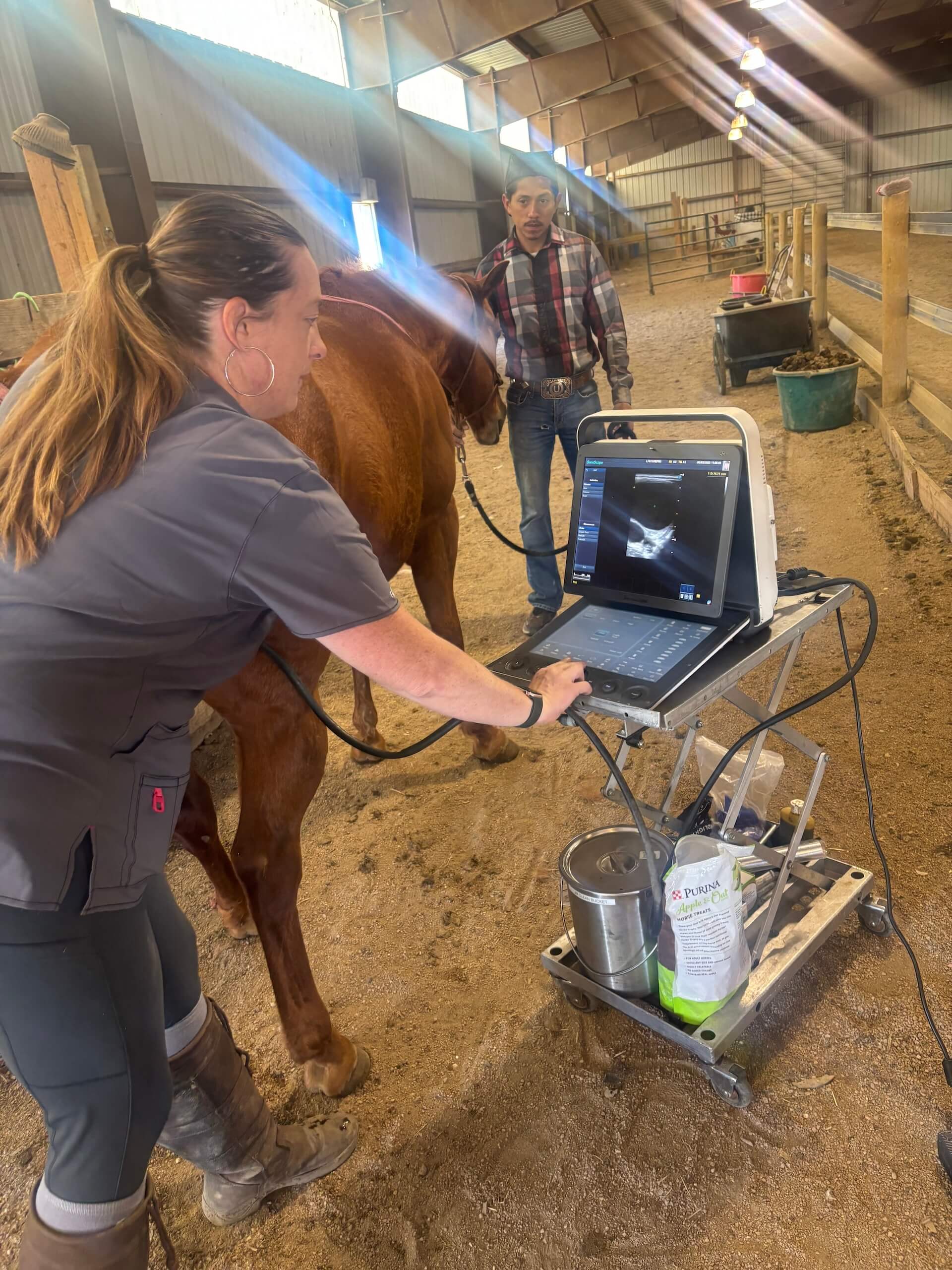 Equine Breeding Services Western States 4