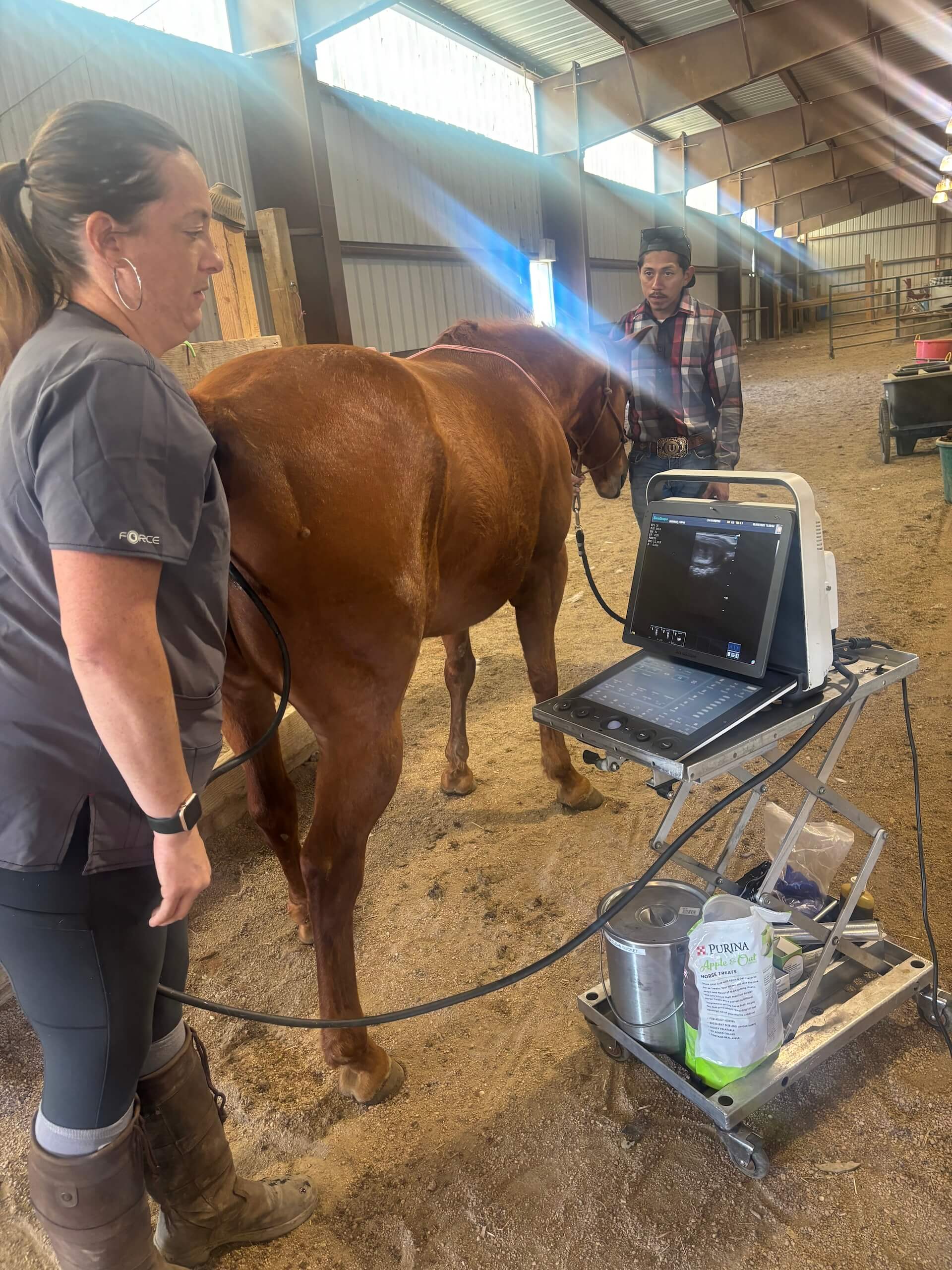 Equine Breeding Services Western States 8