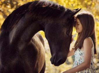 Straight From The Horse's Mouth: The Importance Of Equine Dental Care