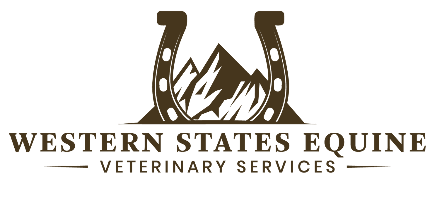 Western States Equine Veterinary Services