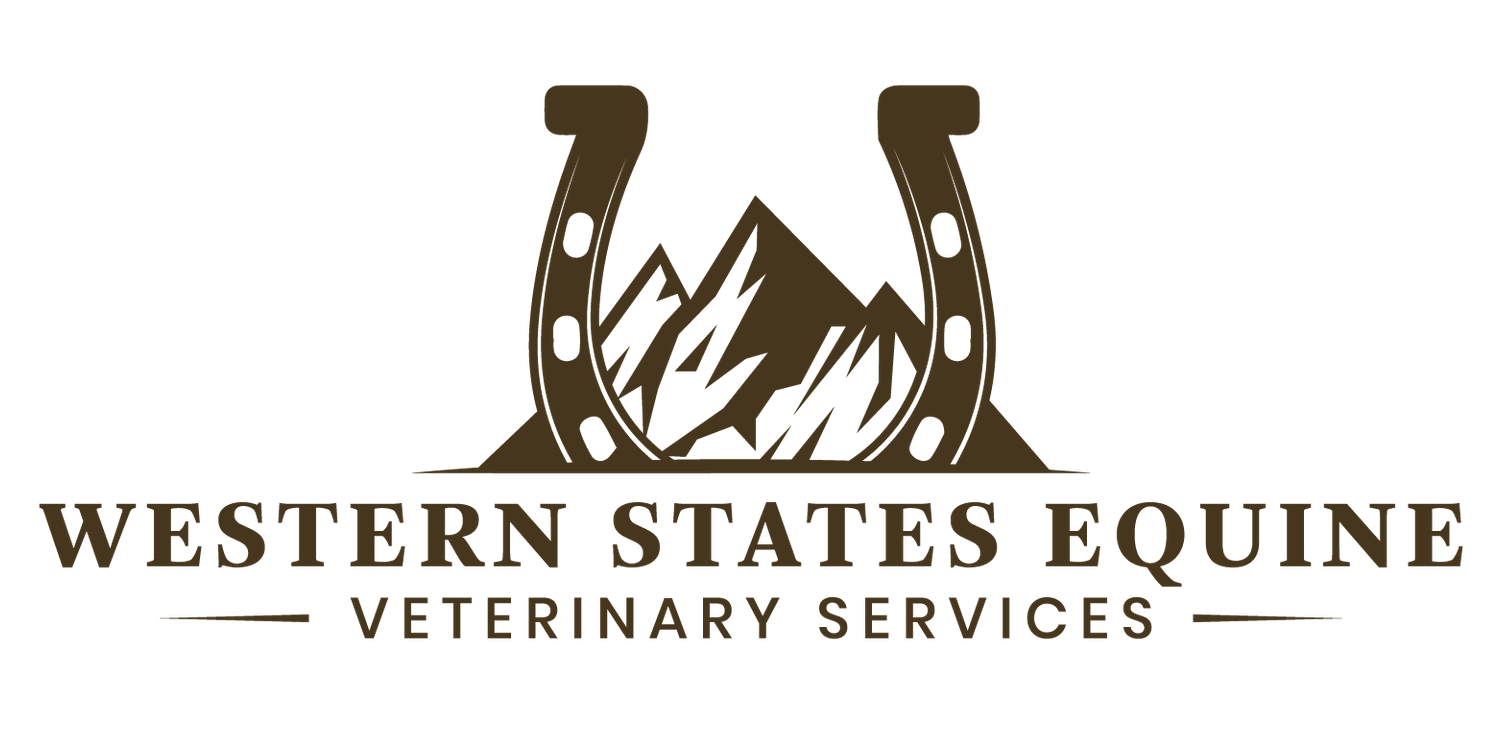 Western States Equine Veterinary Services