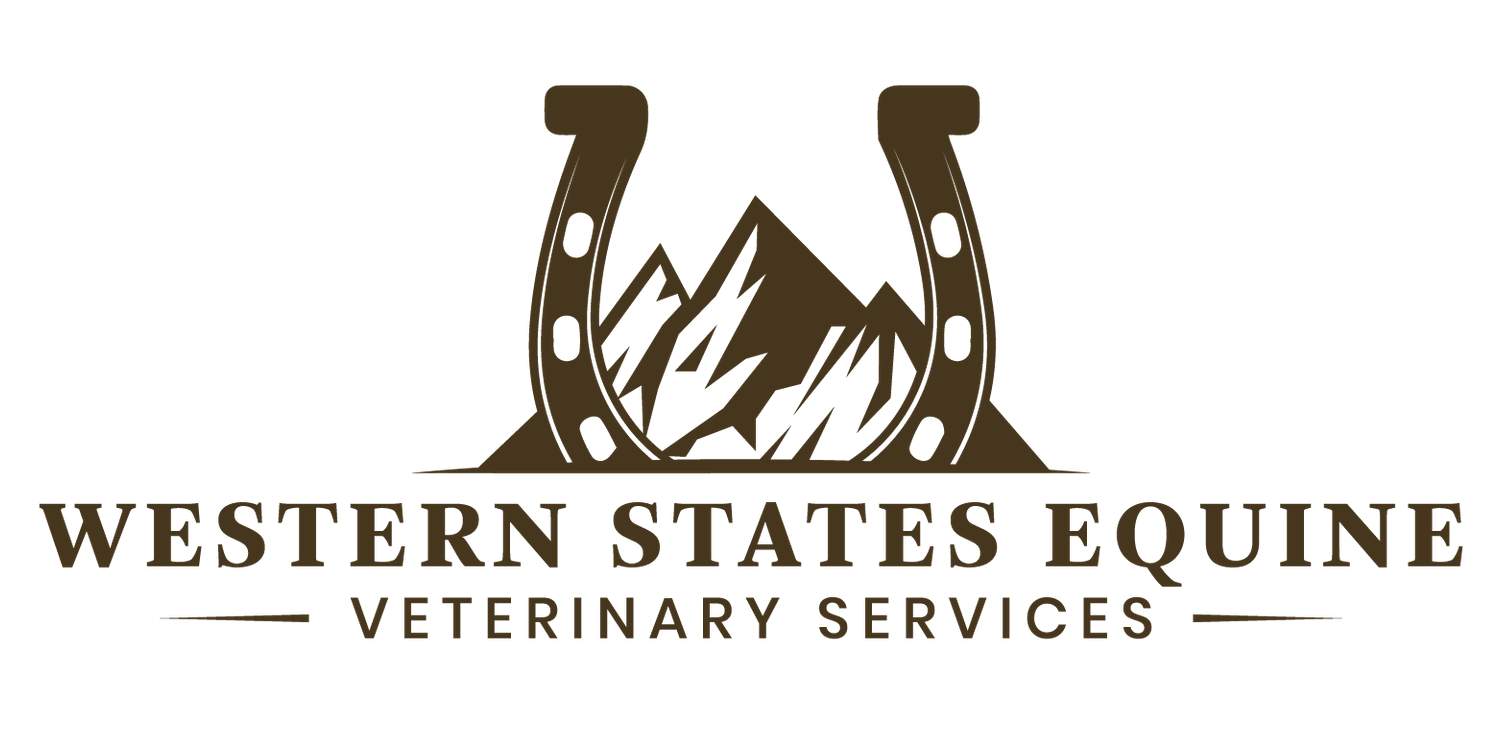 Western States Equine Veterinary Services